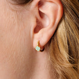 Quarterly Earring Box: Tween