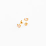 Paw Print